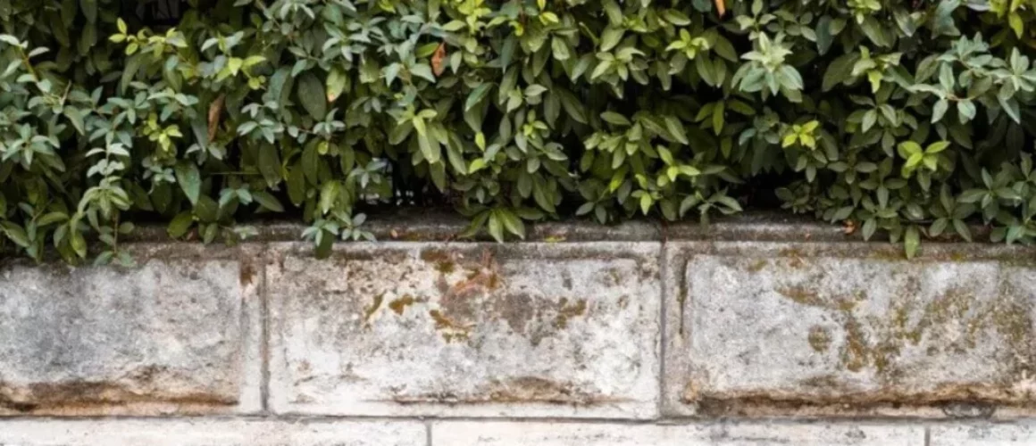 Betonzaun aus Betonblöcken