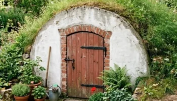 Versteckter Eingang zum Schutzraum im Garten gebaut mit Beton B50, grüne Pflanzen